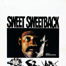 Movies Most Similar to Sweet Sweetback's Baadasssss Song (1971)