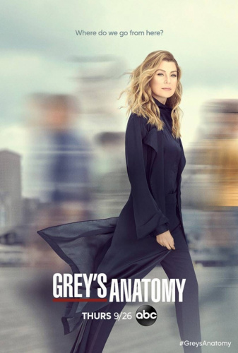 Grey's Anatomy (2005) - Tv Shows to Watch If You Like New Amsterdam (2018)